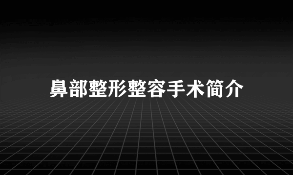 鼻部整形整容手术简介