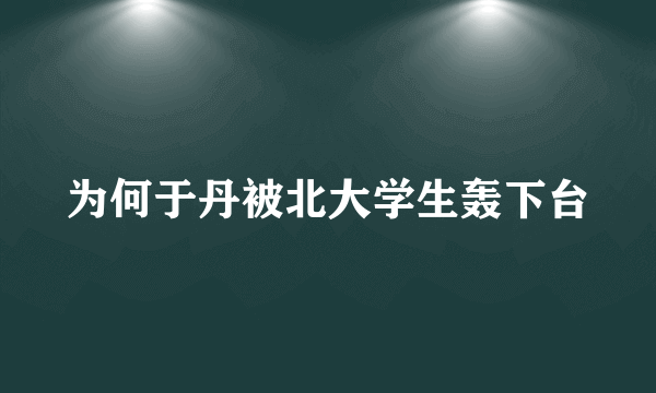 为何于丹被北大学生轰下台