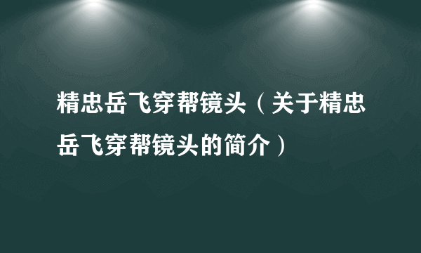 精忠岳飞穿帮镜头（关于精忠岳飞穿帮镜头的简介）