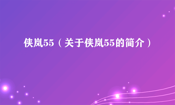 侠岚55（关于侠岚55的简介）