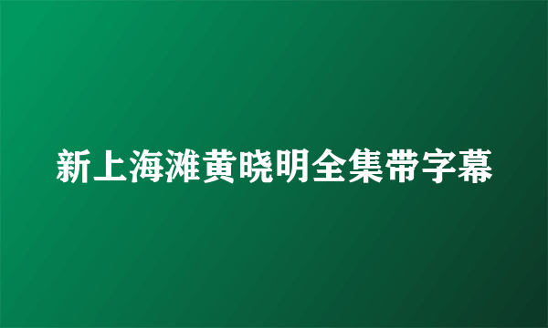 新上海滩黄晓明全集带字幕