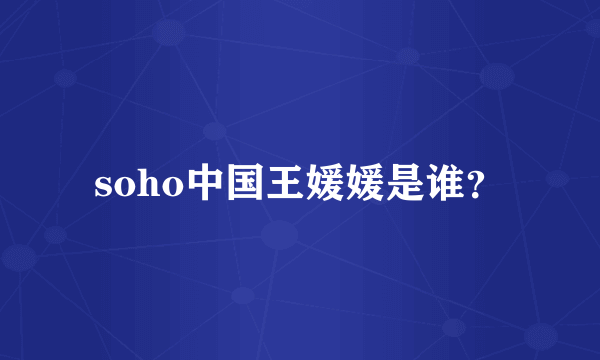 soho中国王媛媛是谁？