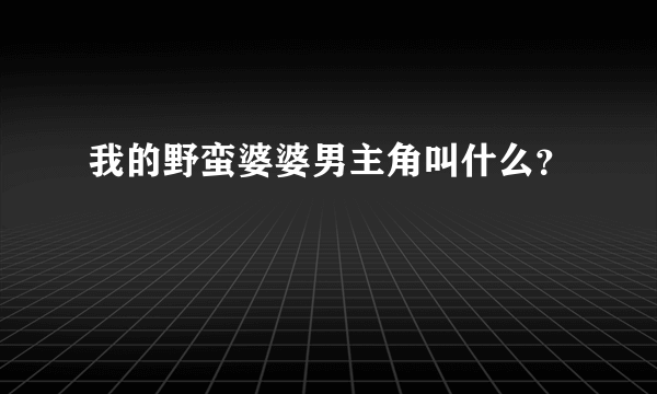 我的野蛮婆婆男主角叫什么？