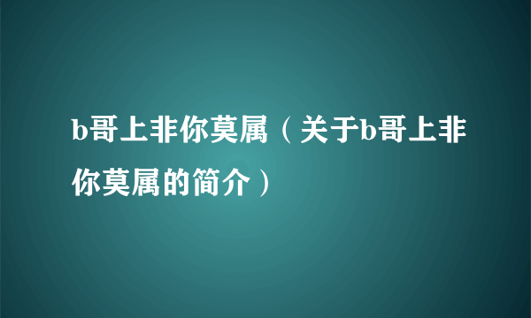 b哥上非你莫属（关于b哥上非你莫属的简介）