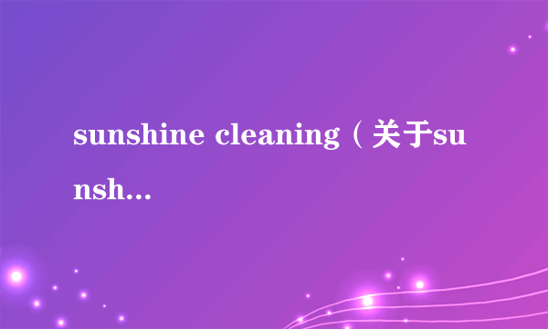 sunshine cleaning（关于sunshine cleaning的简介）