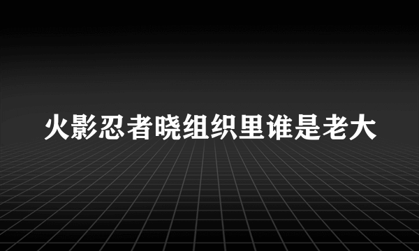 火影忍者晓组织里谁是老大