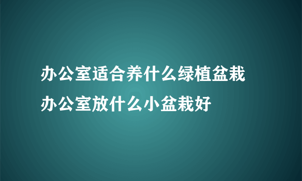 办公室适合养什么绿植盆栽 办公室放什么小盆栽好