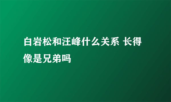 白岩松和汪峰什么关系 长得像是兄弟吗