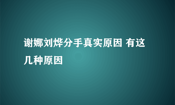 谢娜刘烨分手真实原因 有这几种原因