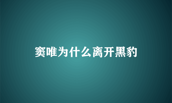 窦唯为什么离开黑豹