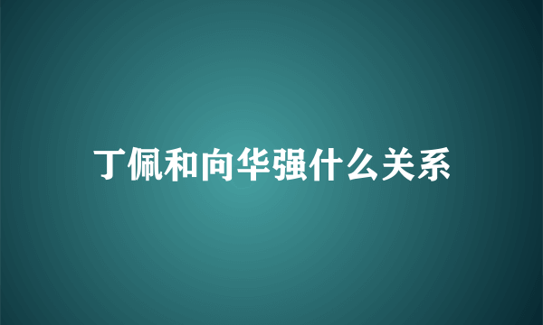 丁佩和向华强什么关系