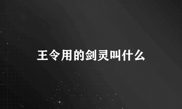 王令用的剑灵叫什么