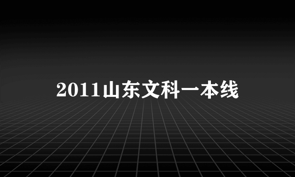 2011山东文科一本线