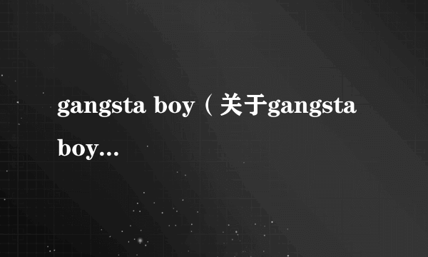 gangsta boy（关于gangsta boy的简介）