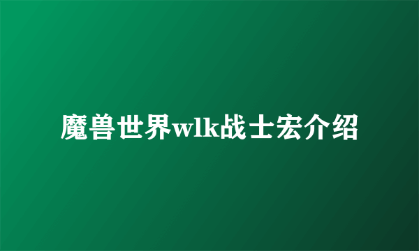 魔兽世界wlk战士宏介绍