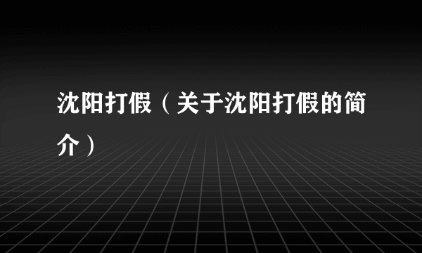 沈阳打假（关于沈阳打假的简介）