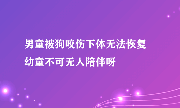 男童被狗咬伤下体无法恢复 幼童不可无人陪伴呀