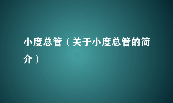 小度总管（关于小度总管的简介）