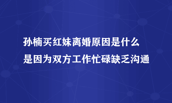 孙楠买红妹离婚原因是什么 是因为双方工作忙碌缺乏沟通