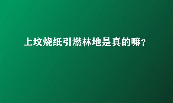 上坟烧纸引燃林地是真的嘛？