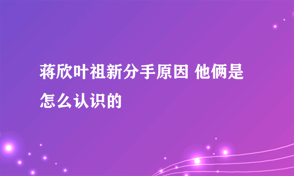 蒋欣叶祖新分手原因 他俩是怎么认识的