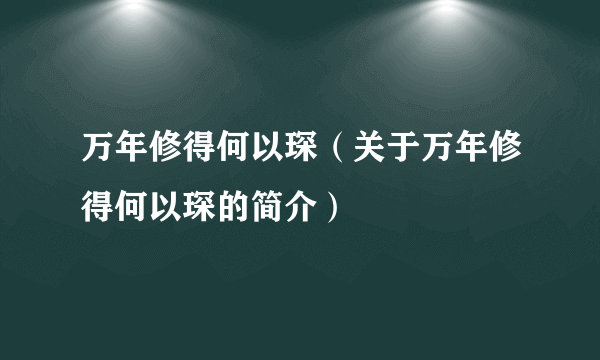 万年修得何以琛（关于万年修得何以琛的简介）