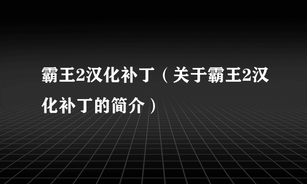 霸王2汉化补丁（关于霸王2汉化补丁的简介）