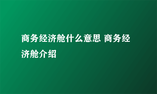 商务经济舱什么意思 商务经济舱介绍