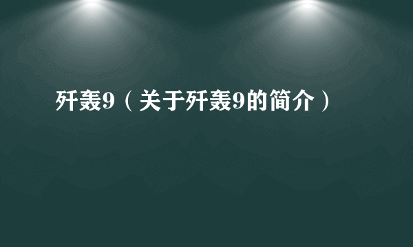 歼轰9（关于歼轰9的简介）