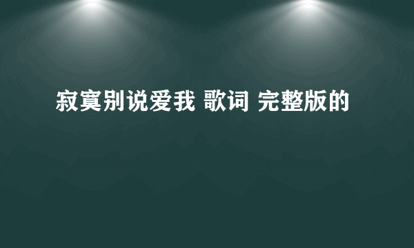 寂寞别说爱我 歌词 完整版的