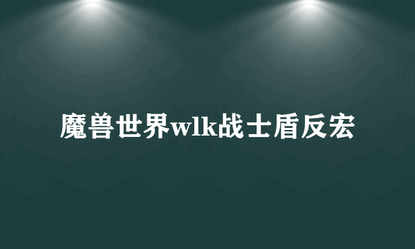 魔兽世界wlk战士盾反宏