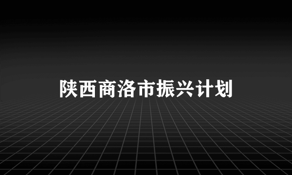 陕西商洛市振兴计划