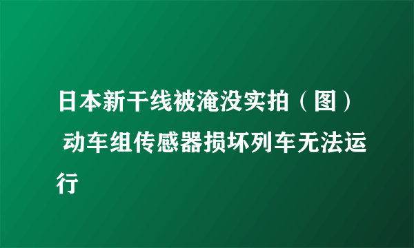 日本新干线被淹没实拍（图） 动车组传感器损坏列车无法运行