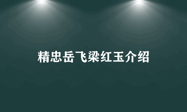 精忠岳飞梁红玉介绍