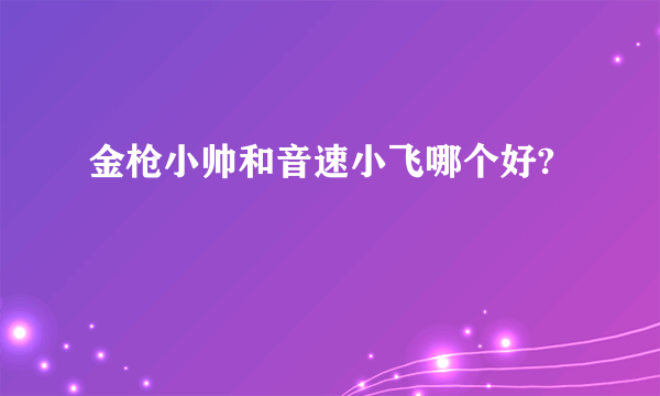 金枪小帅和音速小飞哪个好?