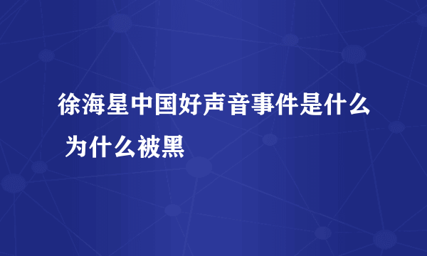 徐海星中国好声音事件是什么 为什么被黑