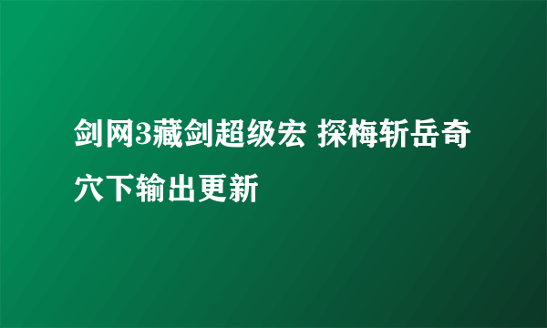 剑网3藏剑超级宏 探梅斩岳奇穴下输出更新