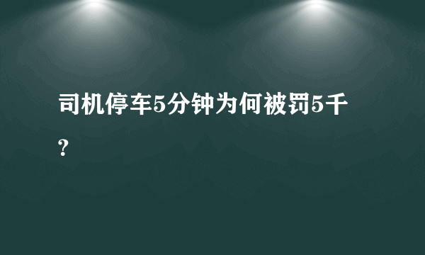 司机停车5分钟为何被罚5千 ？