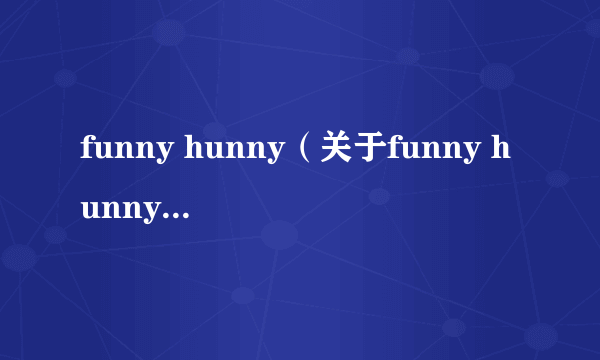 funny hunny（关于funny hunny的简介）