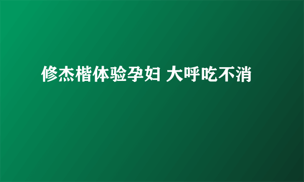 修杰楷体验孕妇 大呼吃不消