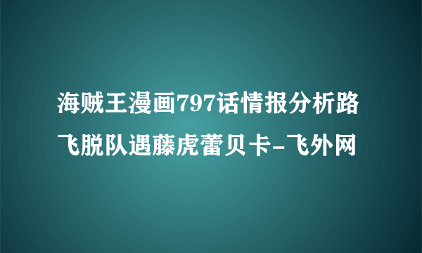 海贼王漫画797话情报分析路飞脱队遇藤虎蕾贝卡-飞外网