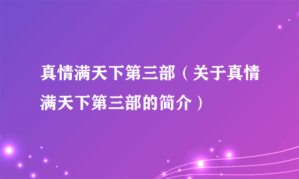 真情满天下第三部（关于真情满天下第三部的简介）