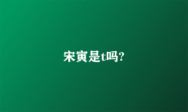 宋寅是t吗?