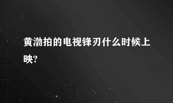 黄渤拍的电视锋刃什么时候上映?