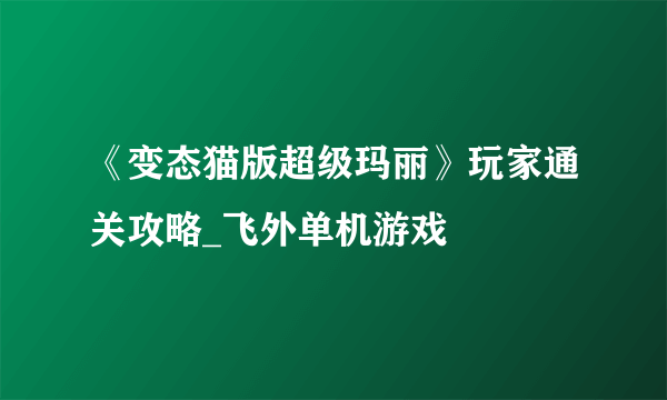 《变态猫版超级玛丽》玩家通关攻略_飞外单机游戏