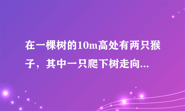 在一棵树的10m高处有两只猴子，其中一只爬下树走向离树20m的池塘，而另一只爬到树顶后直扑池塘。如果两只