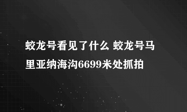 蛟龙号看见了什么 蛟龙号马里亚纳海沟6699米处抓拍