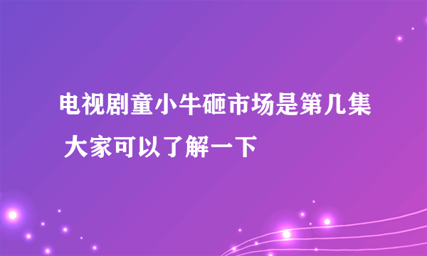 电视剧童小牛砸市场是第几集 大家可以了解一下