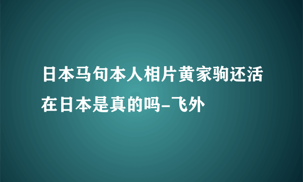 日本马句本人相片黄家驹还活在日本是真的吗-飞外