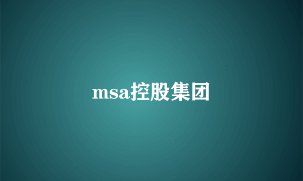 msa控股集团